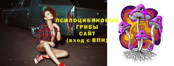 ГАЛЛЮЦИНОГЕННЫЕ ГРИБЫ Заводоуковск