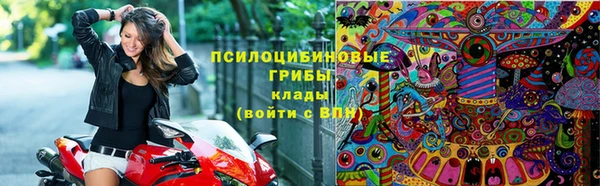 ГАЛЛЮЦИНОГЕННЫЕ ГРИБЫ Заводоуковск