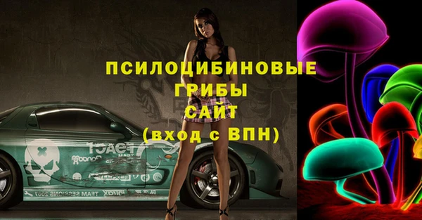 ГАЛЛЮЦИНОГЕННЫЕ ГРИБЫ Заводоуковск