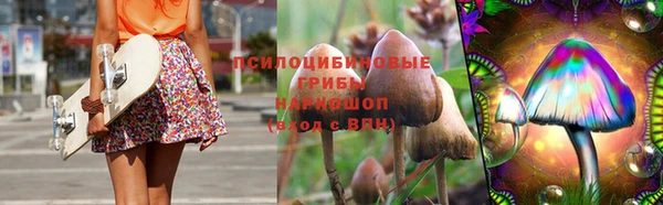 ГАЛЛЮЦИНОГЕННЫЕ ГРИБЫ Заводоуковск