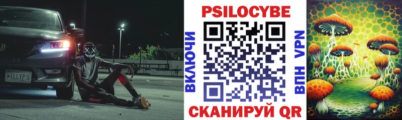 Купить закладки Жирновск Галлюциногенные грибы GOLDEN TEACHER